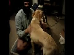 Guy disciplined his dog to fuck him in the butt since he didn't think he would find a partner anyhow.